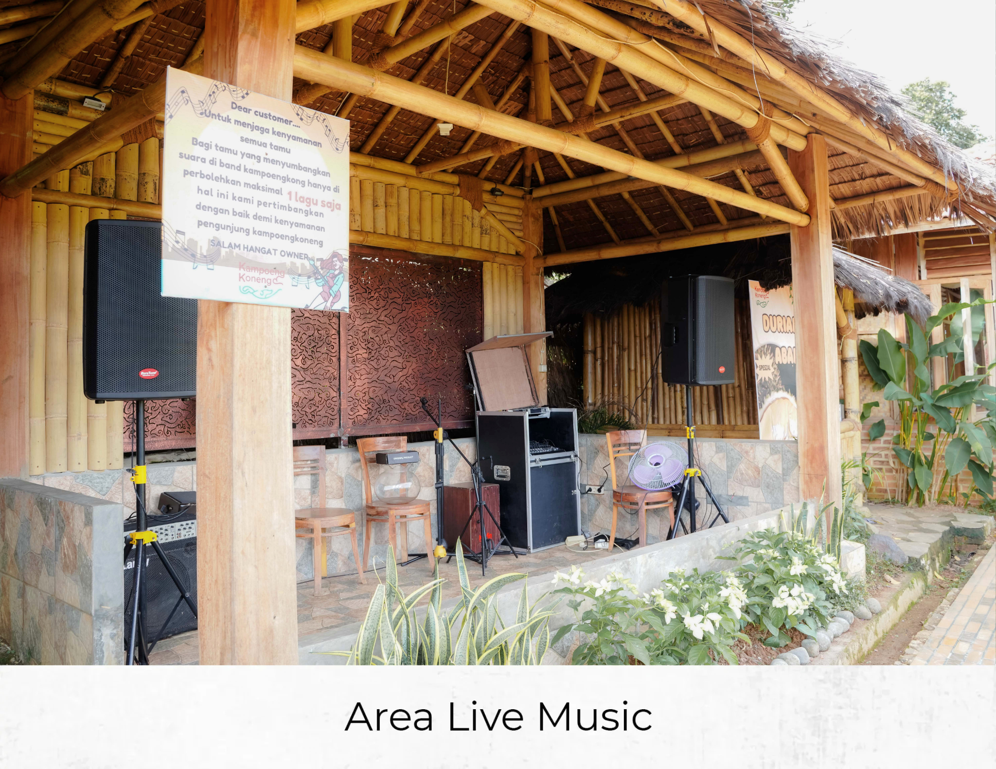 Live Music Performance